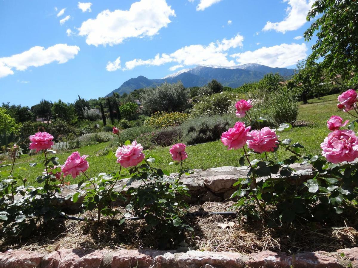 プラード Castell Rose Bed & Breakfast エクステリア 写真